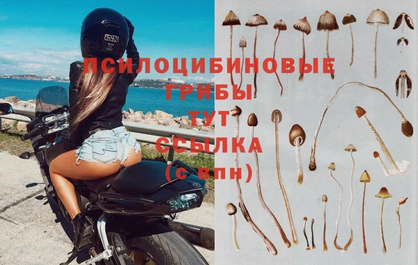 мяу мяу мука Магас