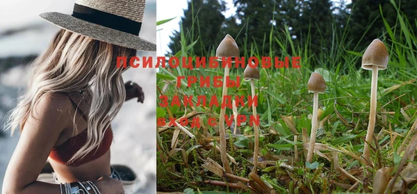 первитин Магадан