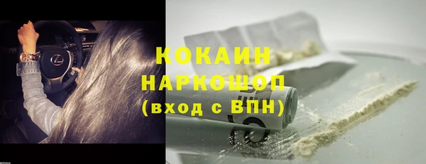 мяу мяу мука Магас