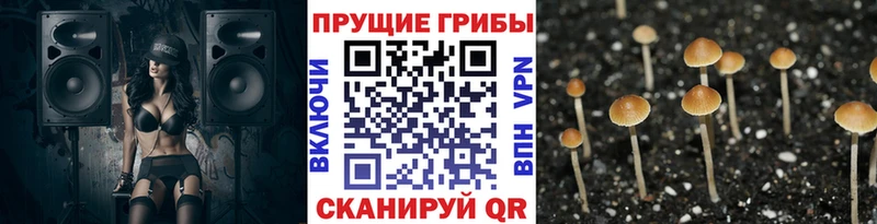 Галлюциногенные грибы мицелий  Майкоп 